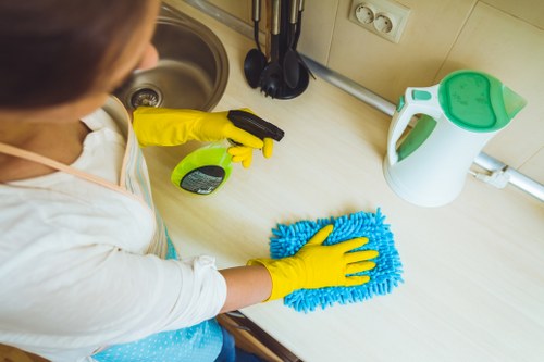 Domestic cleaning tools for a modern London home