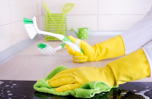Eco-friendly cleaning company in Knightsbridge