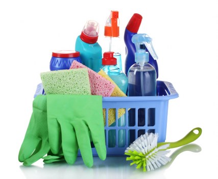 Screen-reader support and accessible cleaning service webpage