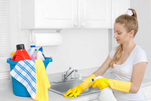 Deep oven cleaning service removing grease and carbon